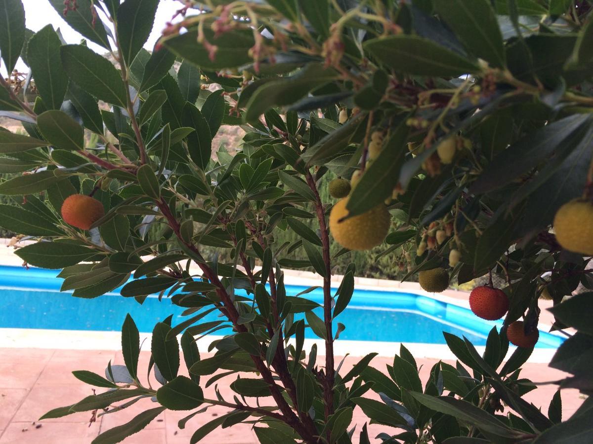 Villa La Quinta Priego de Córdoba Zewnętrze zdjęcie