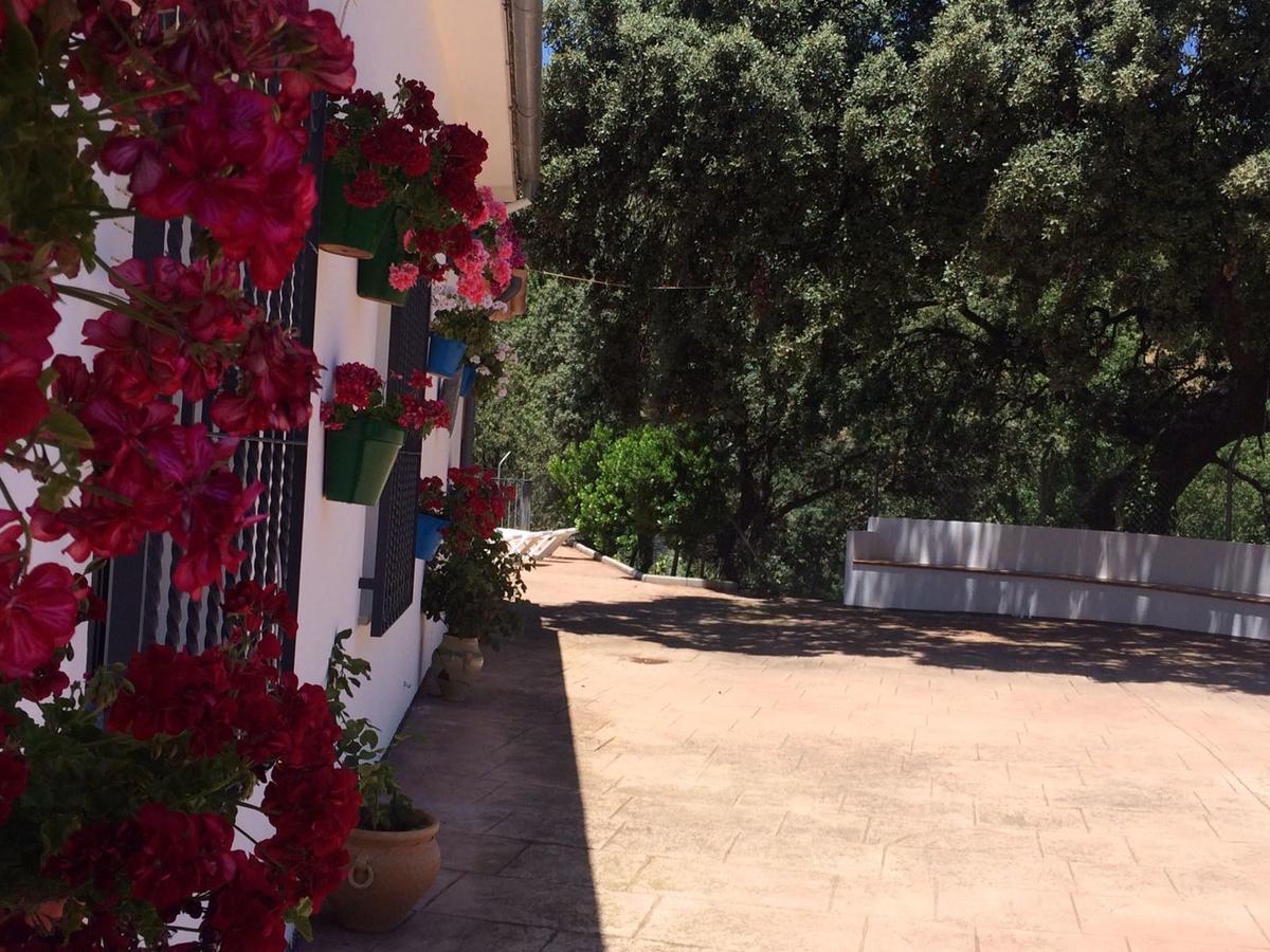 Villa La Quinta Priego de Córdoba Zewnętrze zdjęcie