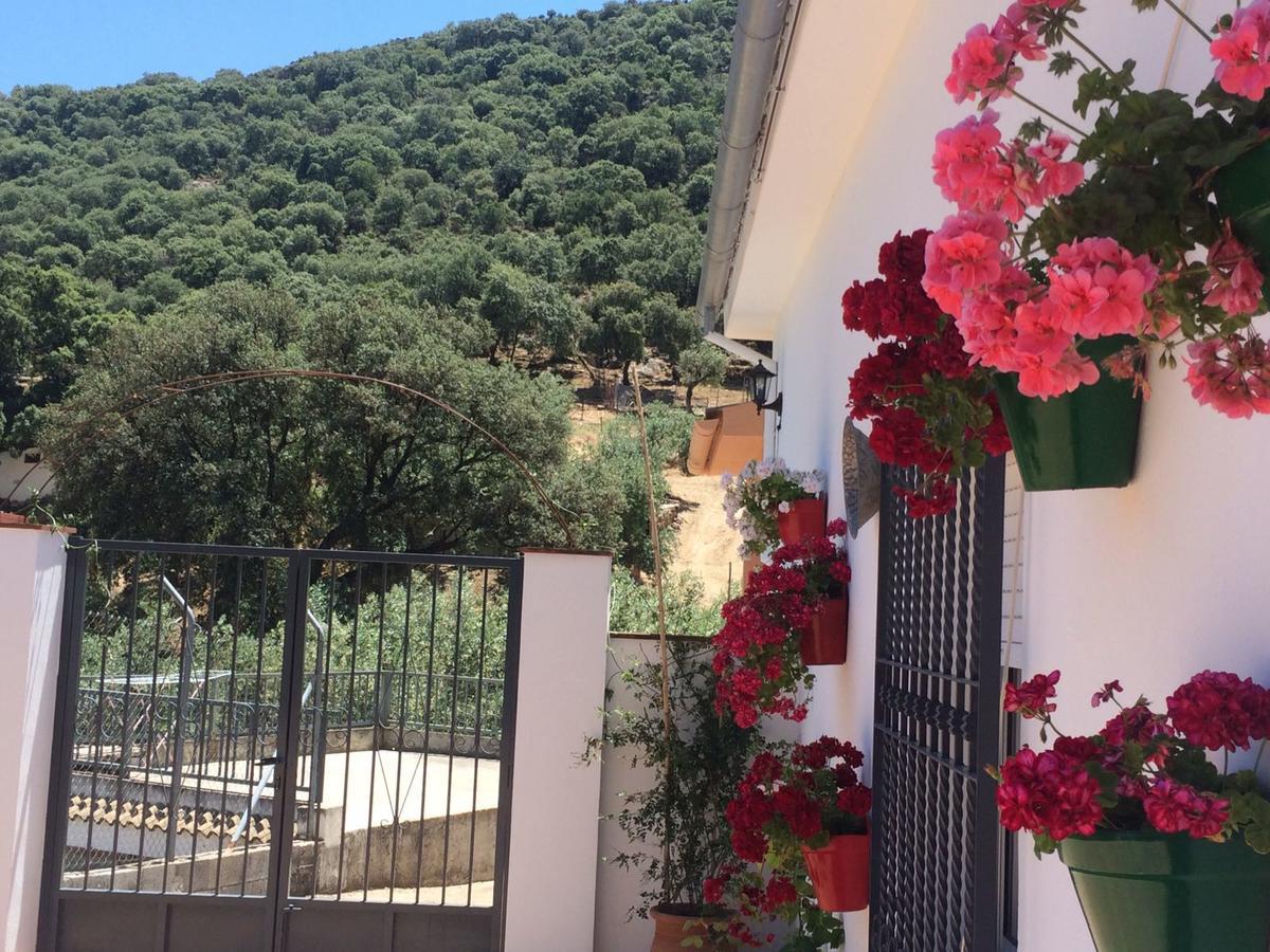 Villa La Quinta Priego de Córdoba Zewnętrze zdjęcie