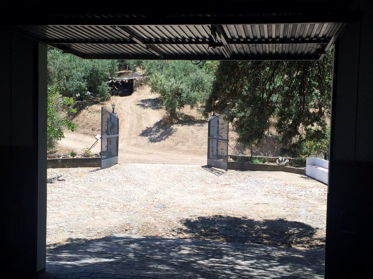 Villa La Quinta Priego de Córdoba Zewnętrze zdjęcie